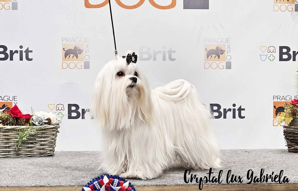482889141_1001976741264834_6636170033092475897_n